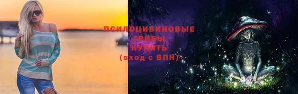 мяу мяу мука Аркадак