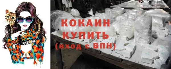 мяу мяу мука Аркадак