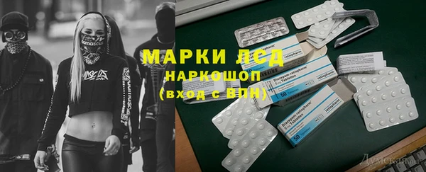 мяу мяу мука Аркадак