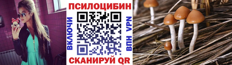 Псилоцибиновые грибы мицелий Бутурлиновка